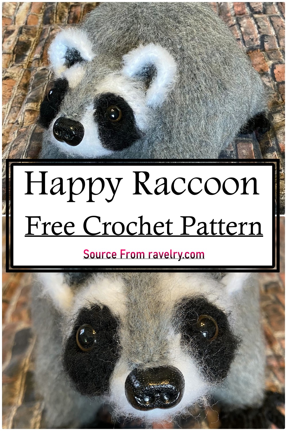 Happy Raccoon