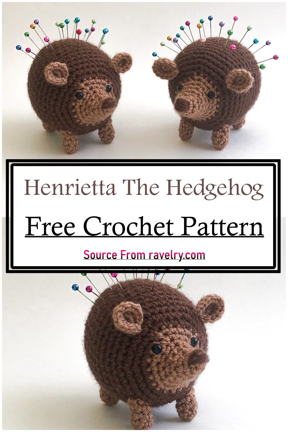 Henrietta The Hedgehog