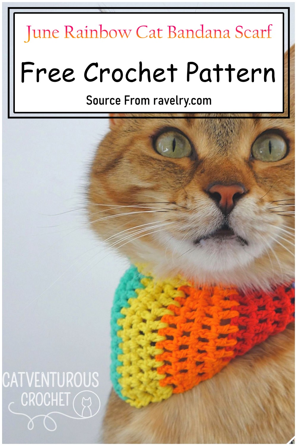 June Rainbow Cat Bandana Scarf