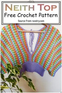 85 Free Crochet Top Patterns For This Summer - DIYsCraftsy