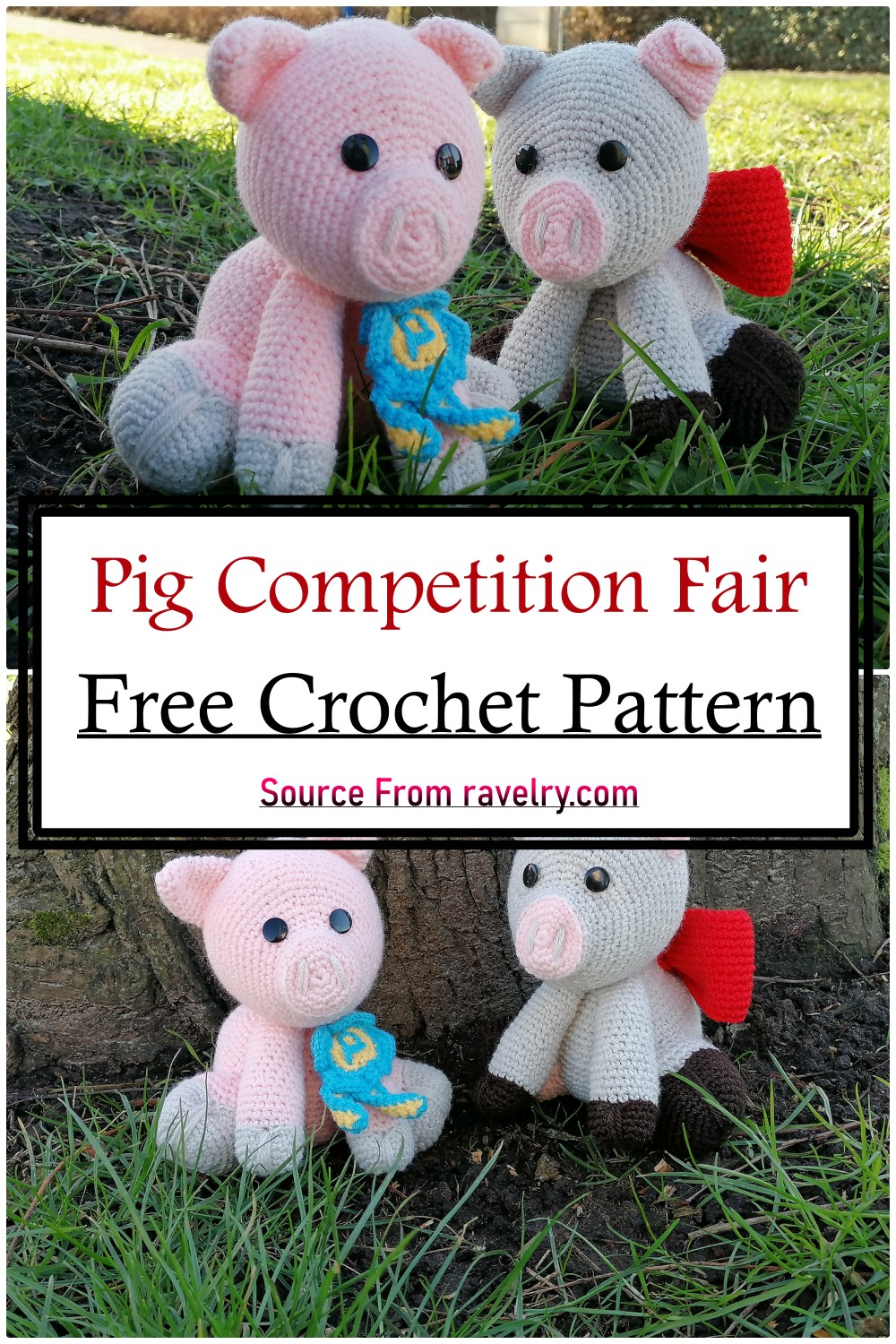 Pig Competition Fair