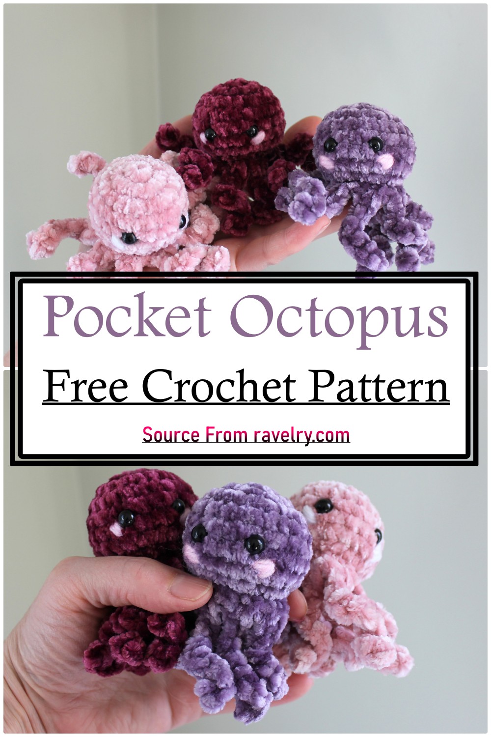 Pocket Octopus