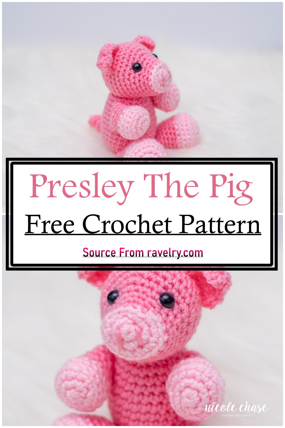 Presley The Pig