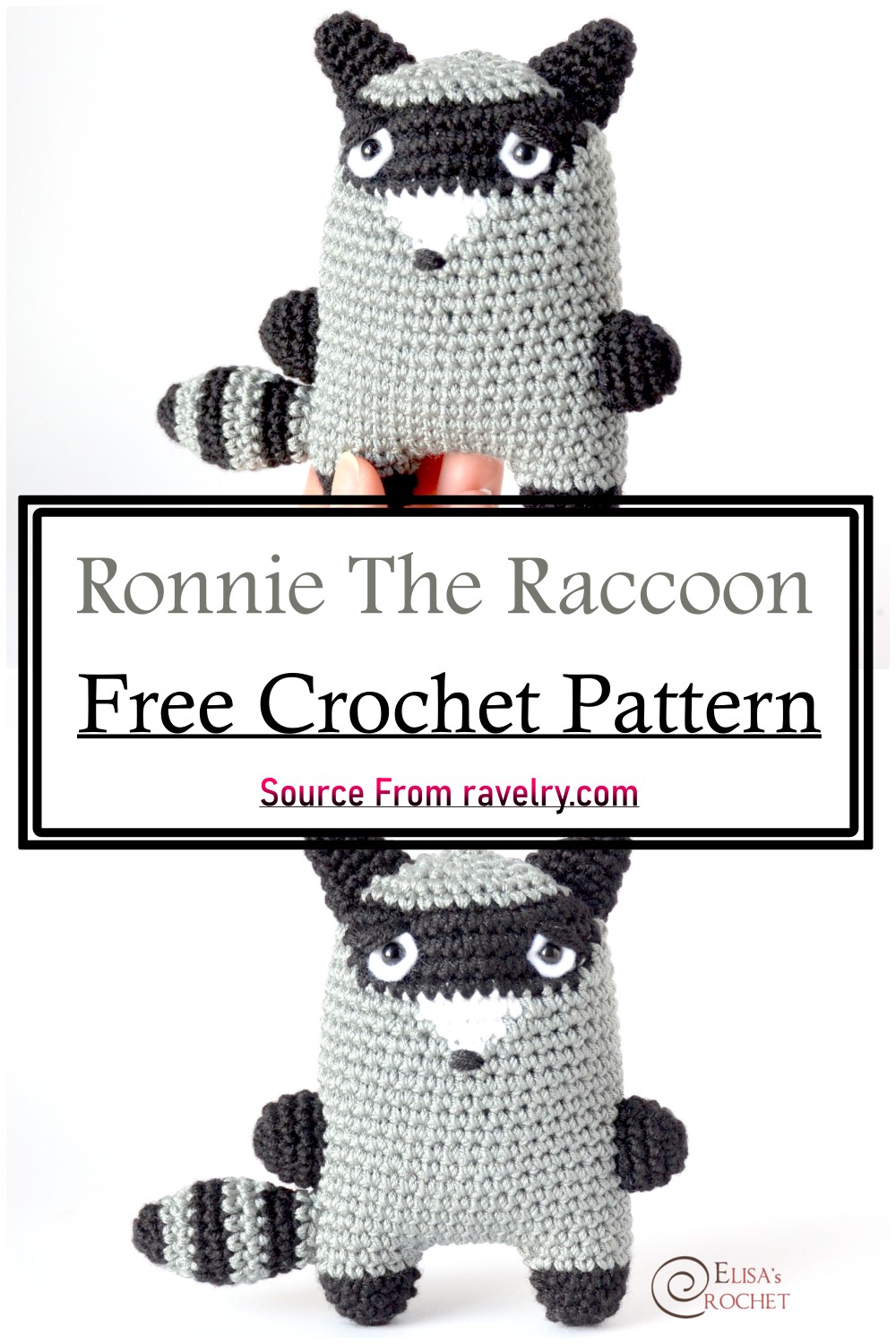 Ronnie The Raccoon