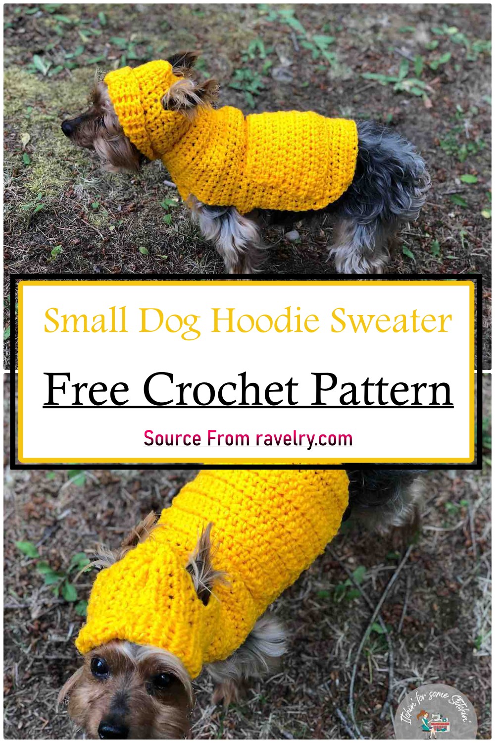 Small Dog Hoodie Sweater