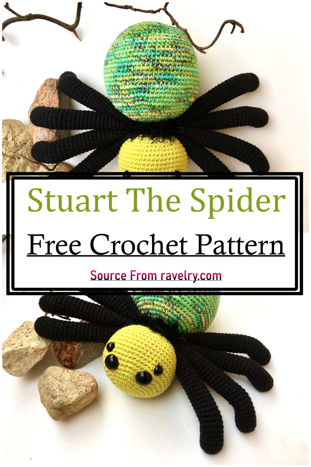Stuart The Spider