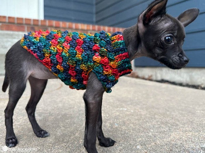 Tiny Dog Sweater