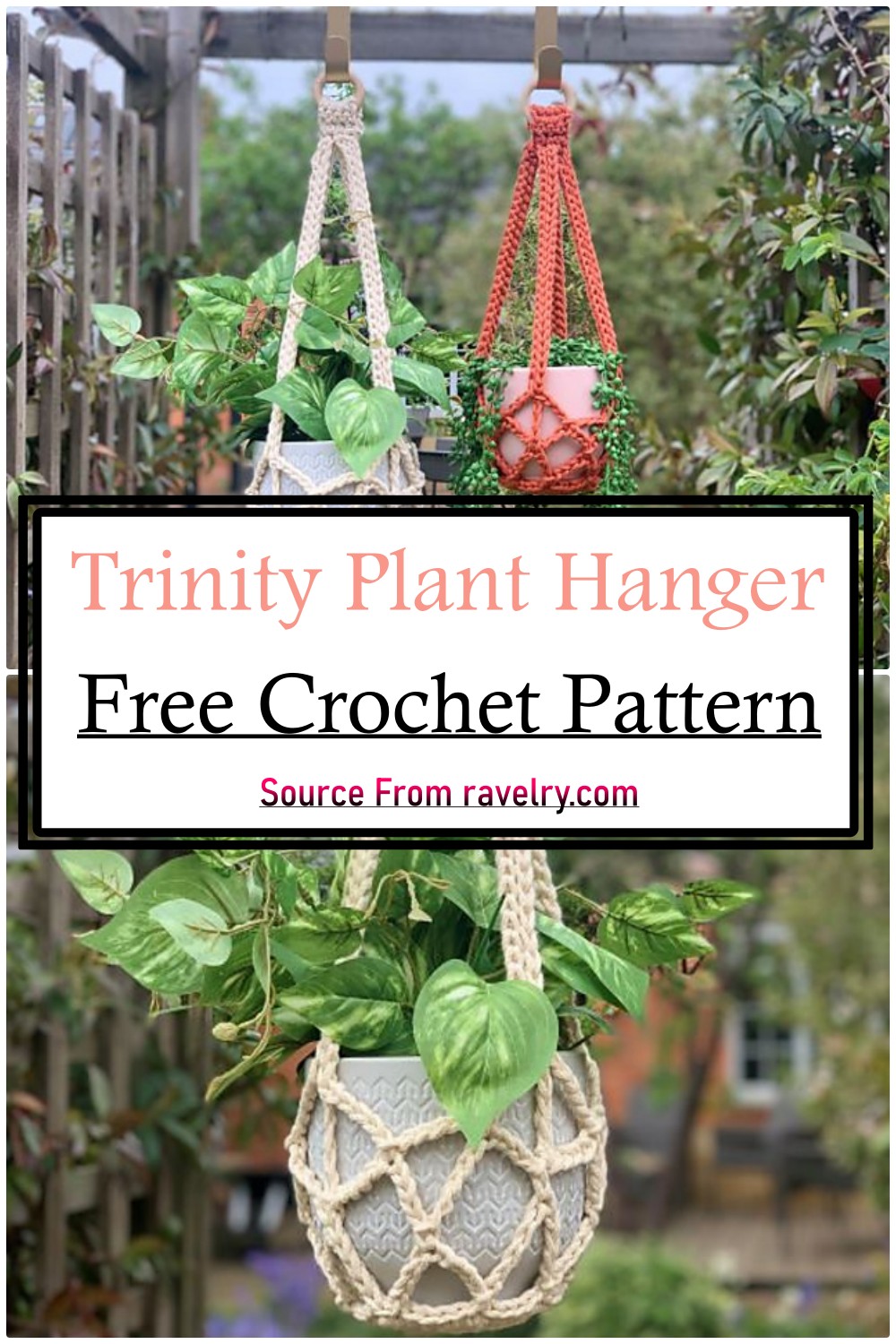 Trinity Plant Hanger