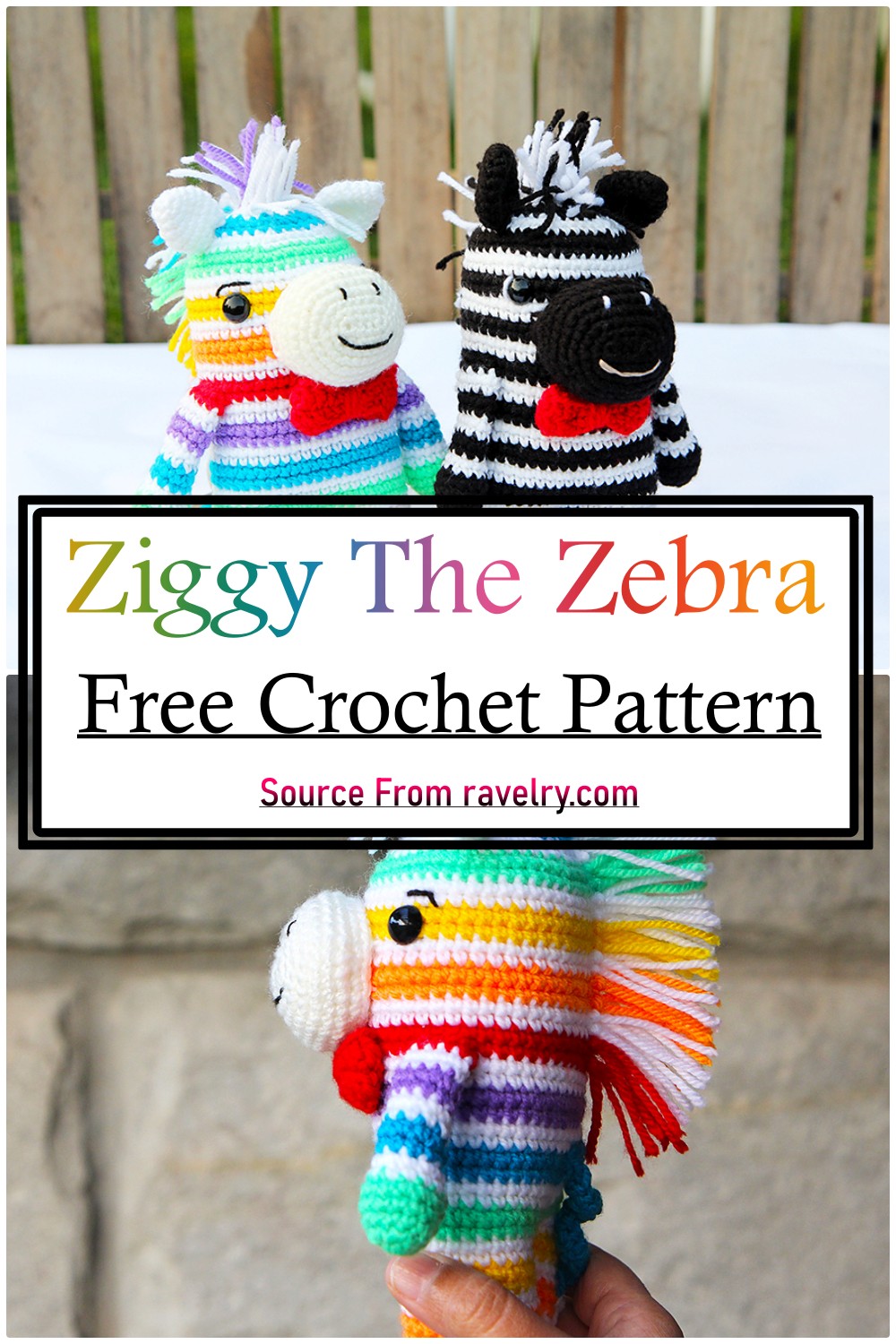 Ziggy The Zebra