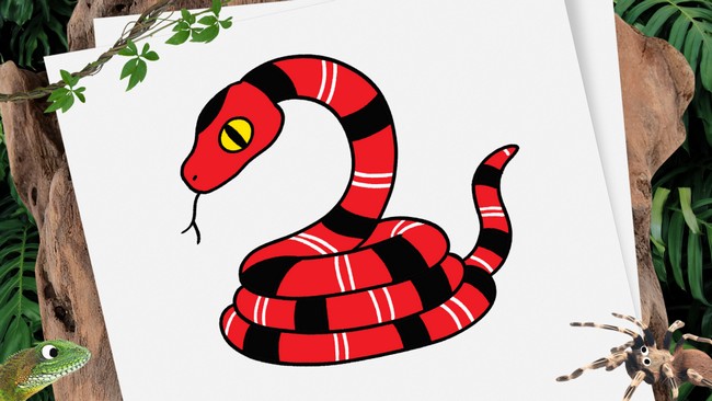 Cartoon Snake Drawing