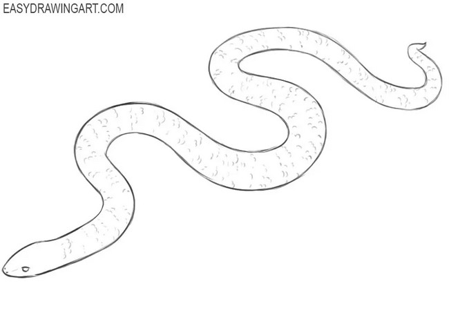 Cute Snake Drawing
