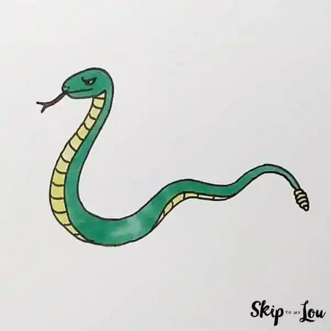 Draw A Snake With Easy Steps