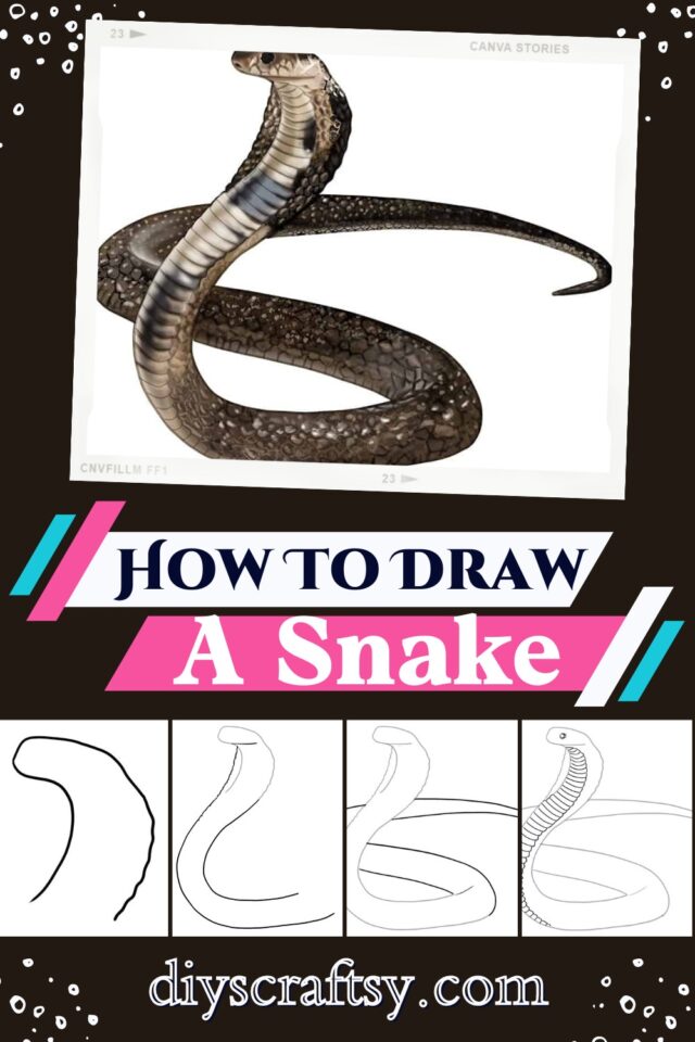17 Snake Drawing Ideas - How To Draw Snake - DIYsCraftsy