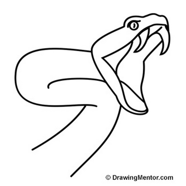 Learn How To Draw A Snake