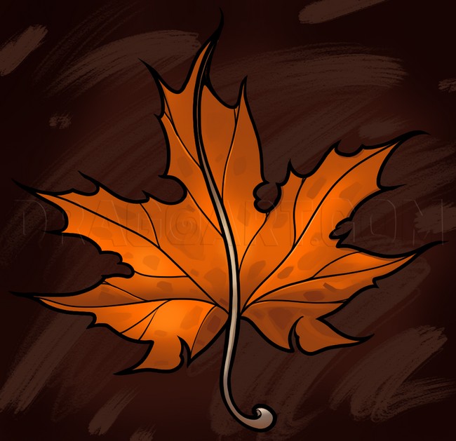 Maple Leaf Easy Drawing