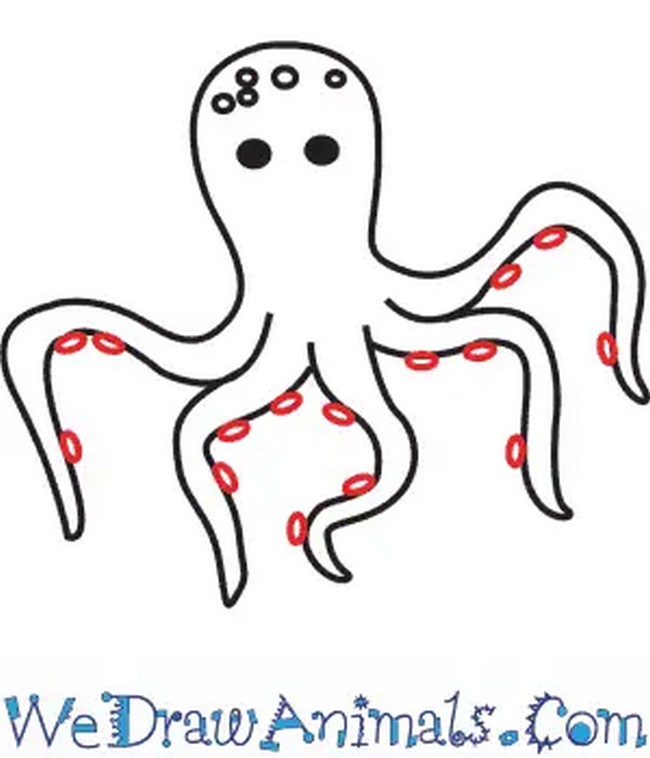 Octopus Drawing Cartoon Tutorial