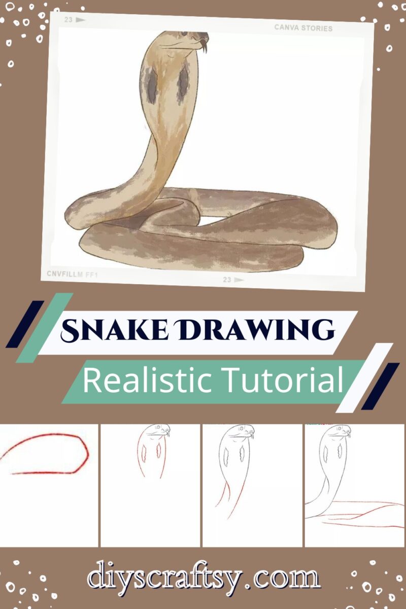 17 Snake Drawing Ideas - How To Draw Snake - DIYsCraftsy