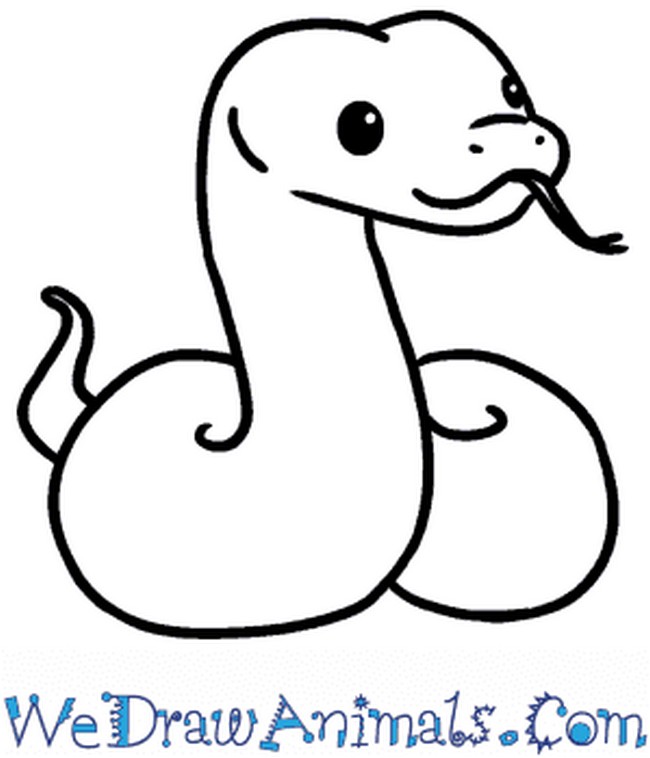 Snake Drawing Reference