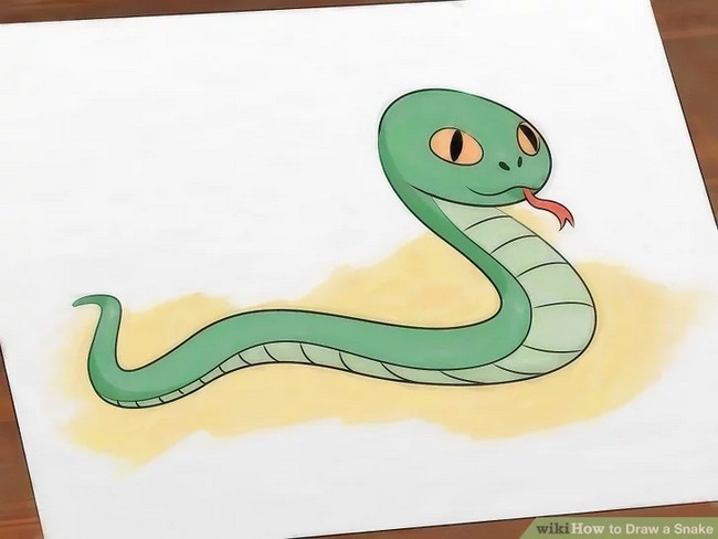 Snake Drawings In Pencil
