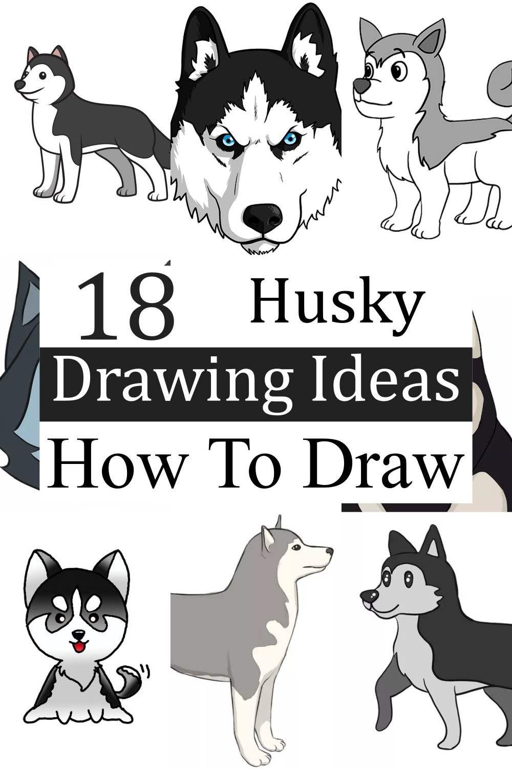 18 Husky Drawing Ideas
