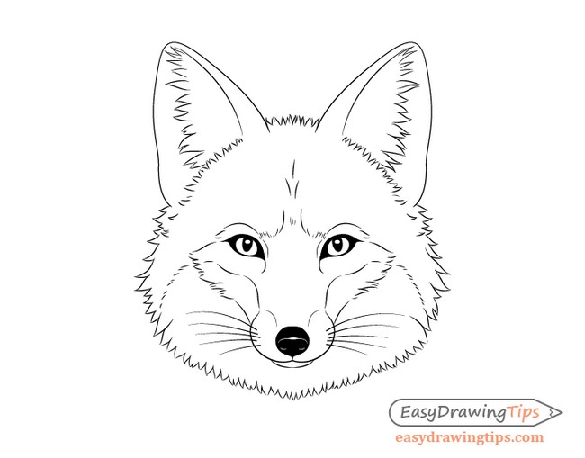 Cute Fox Drawing