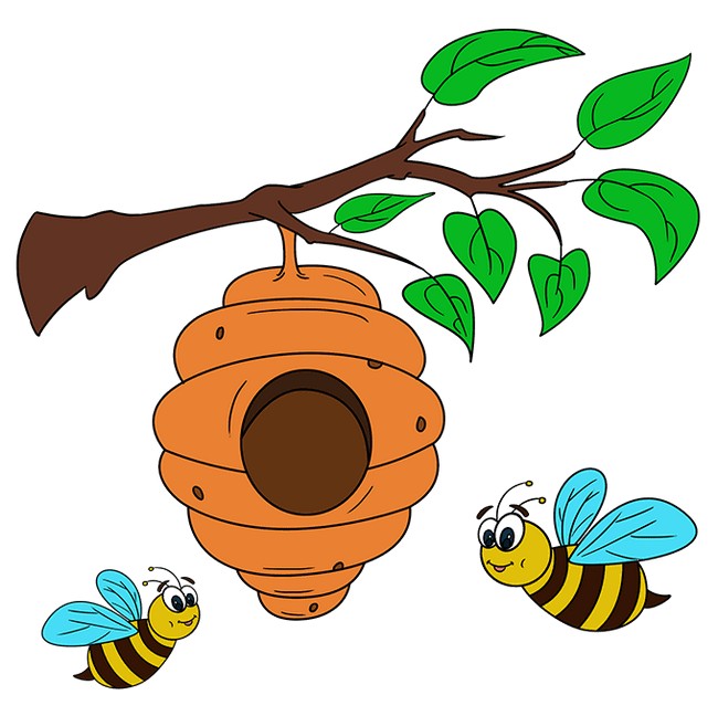 Draw A Bee Hive