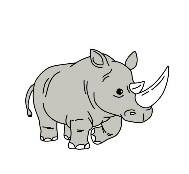 Drawing A Healthy Rhinoceros