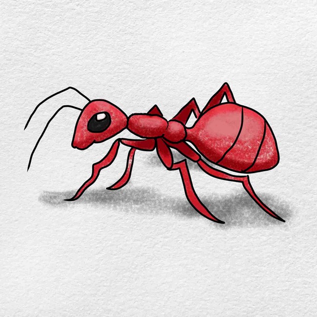Easy Ant Drawing