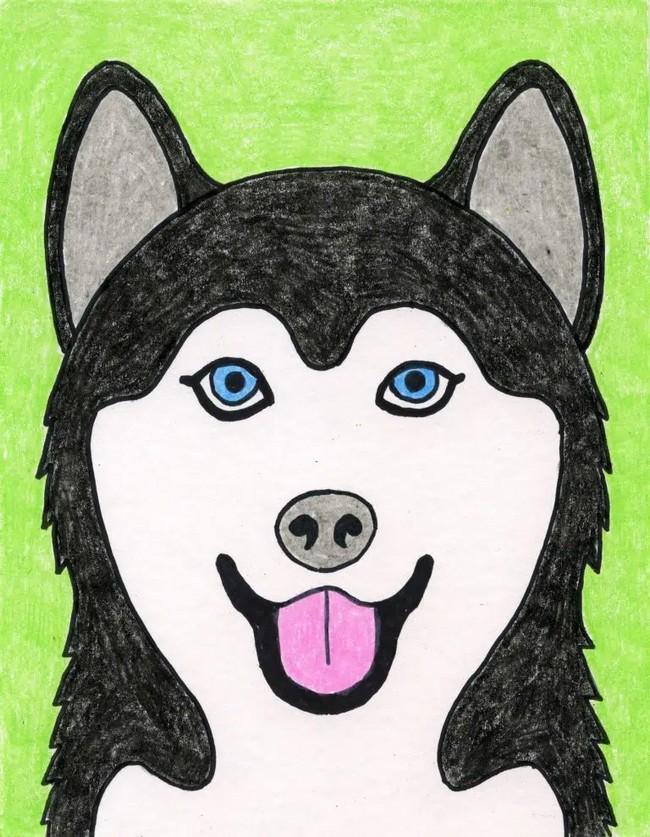 Easy How to Draw a Husky