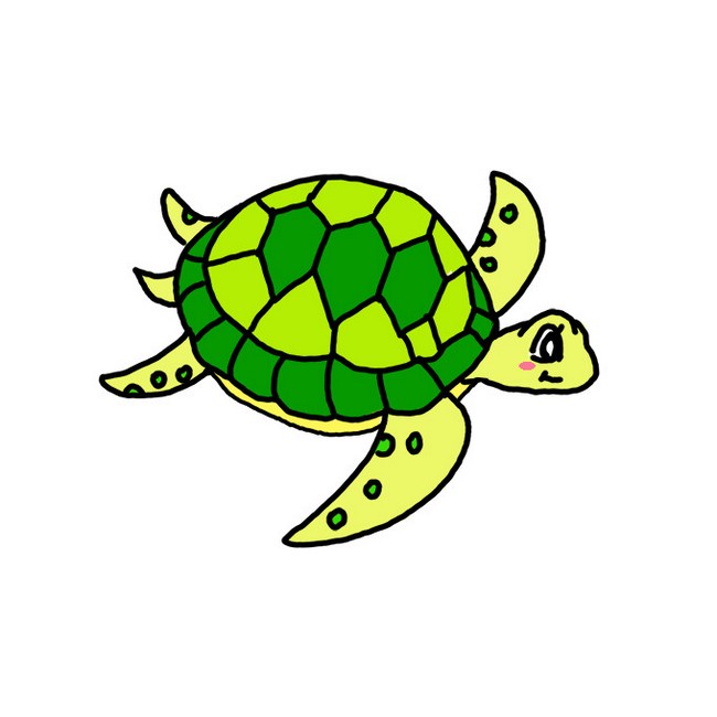 Green Sea Turtle Drawing