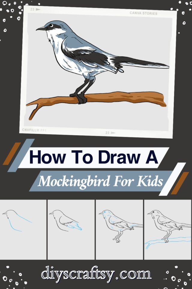 10 Mockingbird Drawing Ideas How To Draw Mockingbird DIYsCraftsy