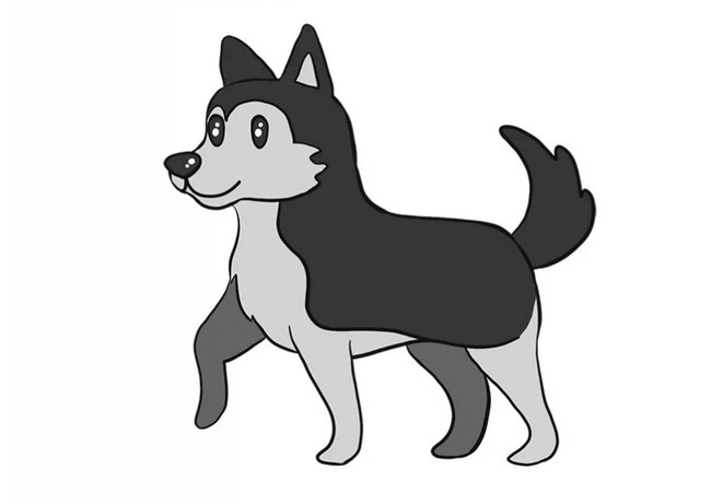 How to Draw a Husky
