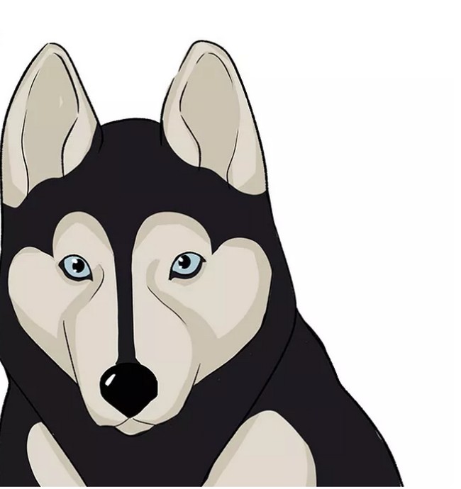 How to Draw a Husky Face