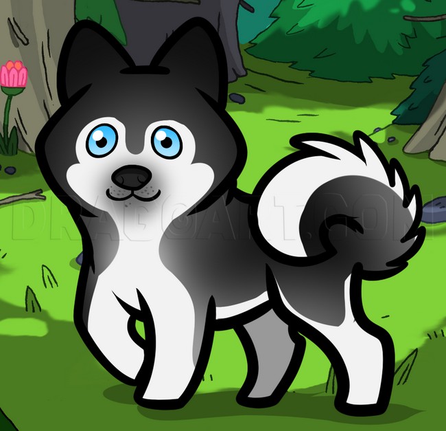 How to Draw a Husky For Kids