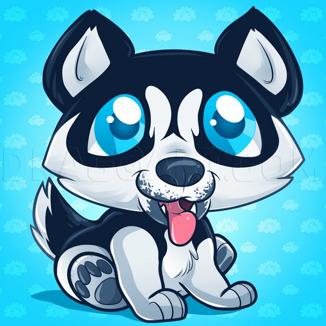 How to Draw a Husky Puppy