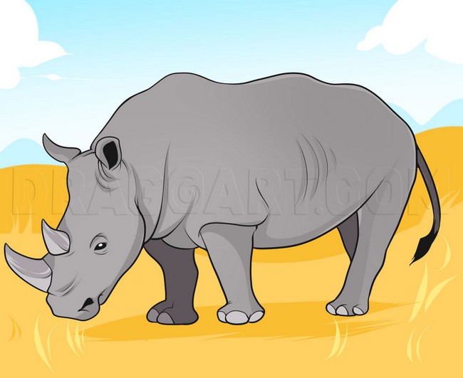 How to Draw a Rhino