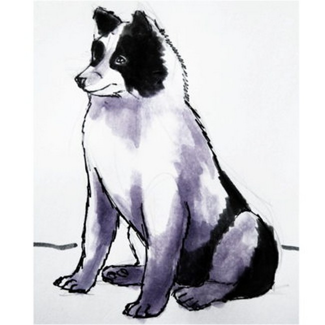 How to draw a husky dog tutorial