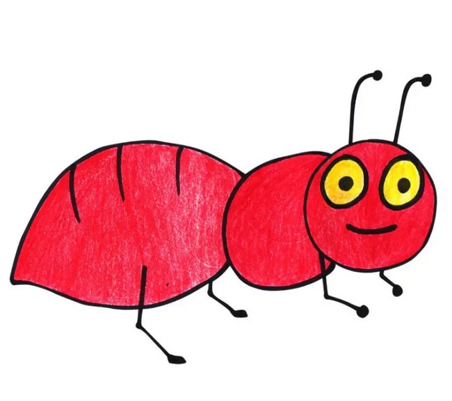 Draw an Ant for Kids