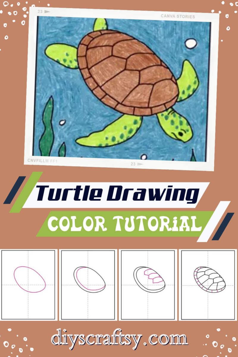 Turtle Picture Vs Drawing 18 Turtle Drawing Ideas - How To Draw Turtle - DIYsCraftsy