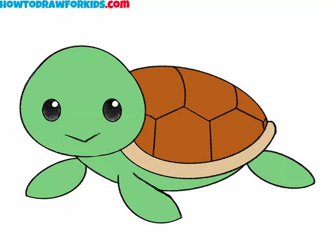 Turtle Drawing Cute