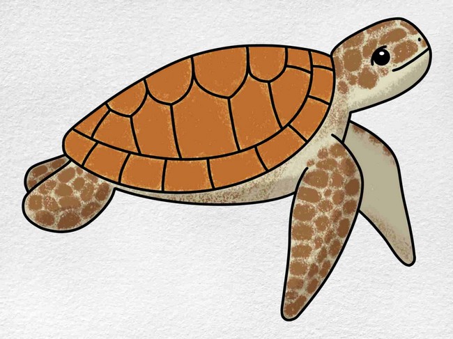 Turtle Drawing Realistic