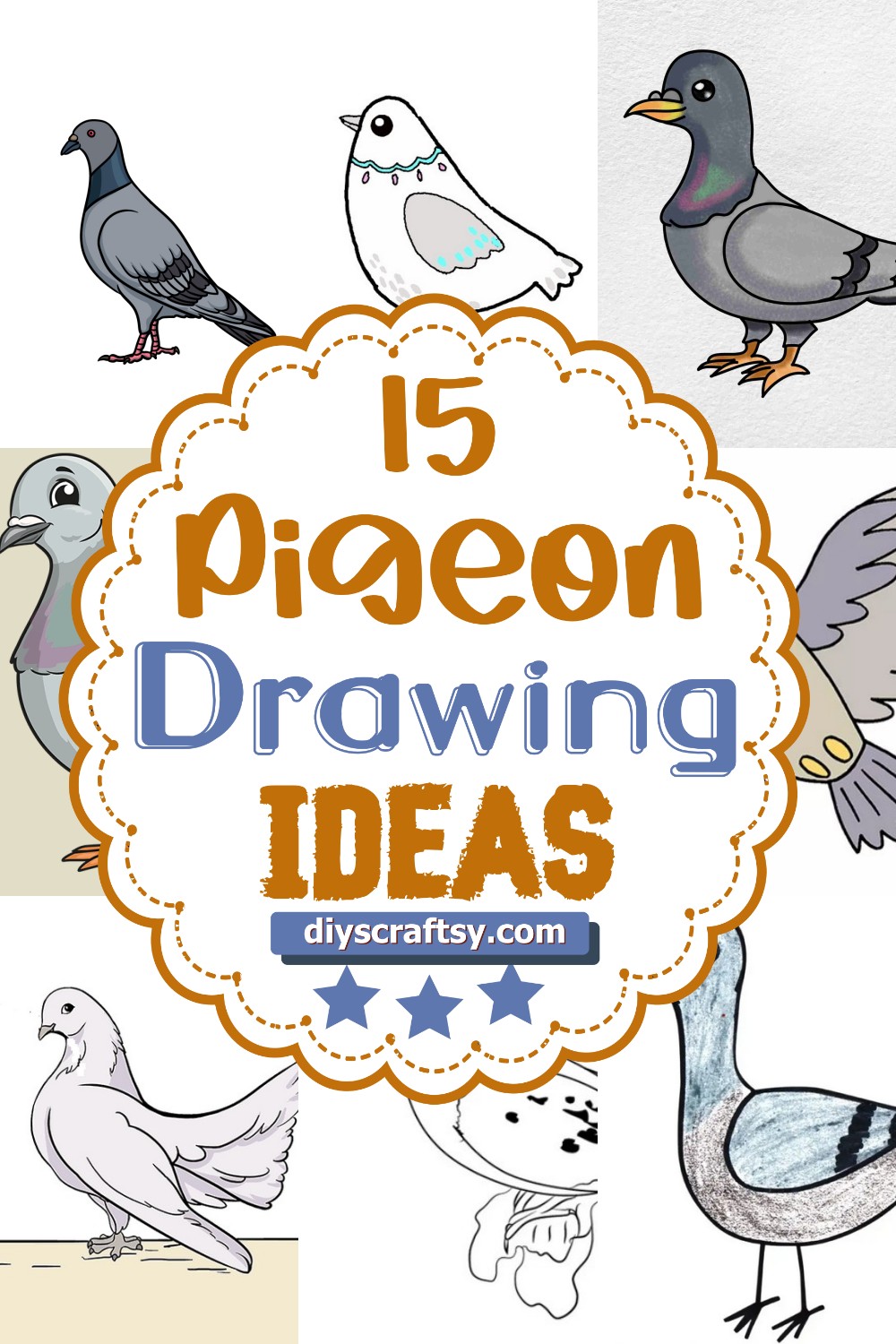 15 Pigeon Drawing Ideas