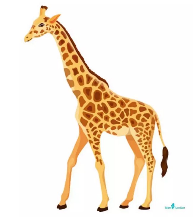 Draw A Giraffe Tutorial For Kids