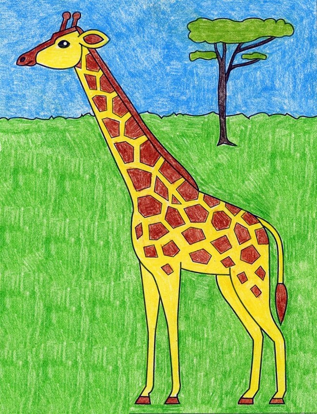 Draw a Giraffe Easy