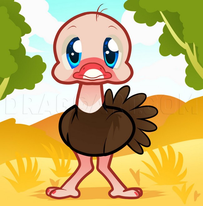 Draw an Ostrich for Kids