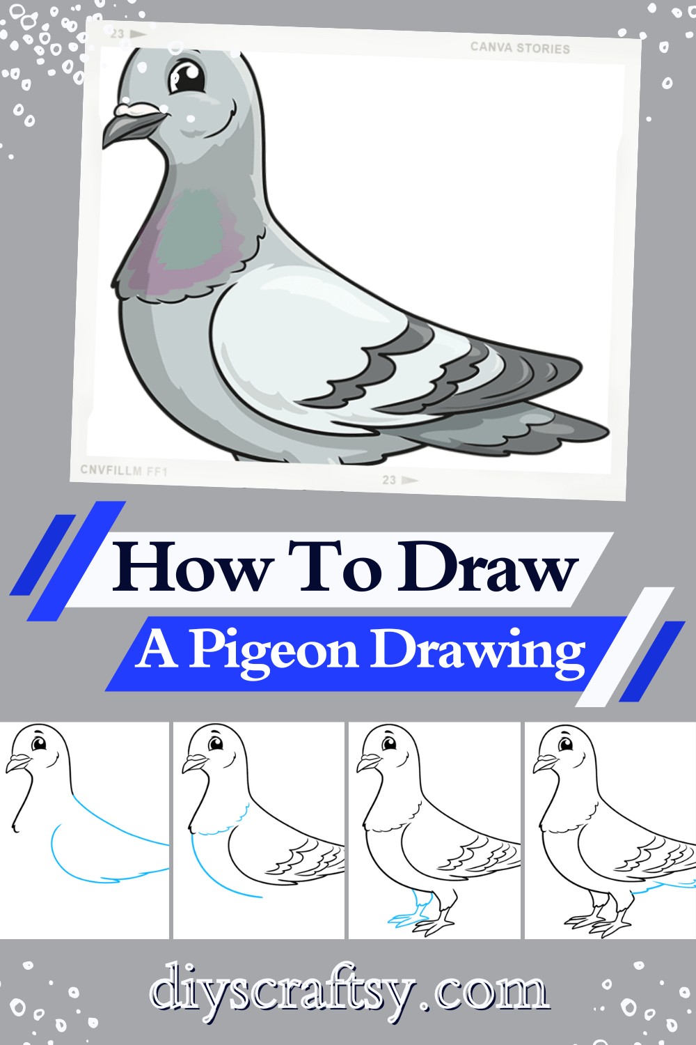 How To Draw A Pigeon Drawing