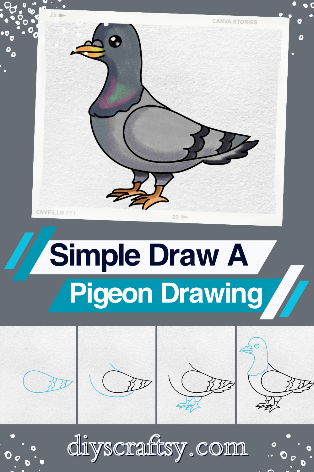 Simple Draw A Pigeon Drawing