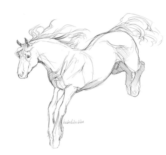A Guide To Drawing Horses