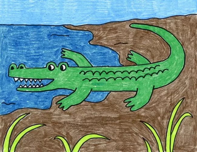 Alligator Drawing