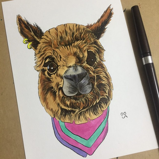 Alpaca Drawing And Inking